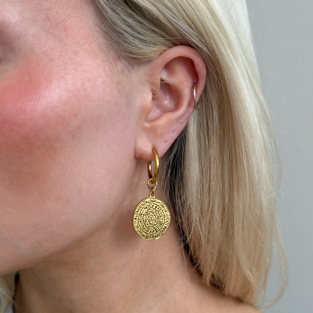 Desi earrings